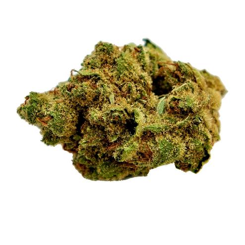 Color - Black Sugar Rose (Critical Mass x Black Domina) - 15g (Indica)