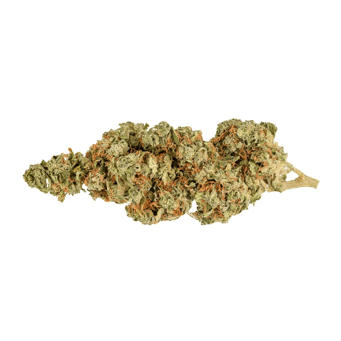 Muskoka Grown - Fruit Pie (Fruitbound x Pie 95) - 3.5g (Indica)