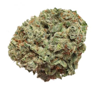 Jenn's OG - Chocolate Marshmallows (Gorilla Glue #4 x Mint Chocolate Chip) - 3.5g (Hybrid)