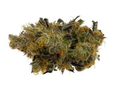 Homage - Blue Iguana (Double Dutch x Old Time Moonshine) - 3.5g (Hybrid)