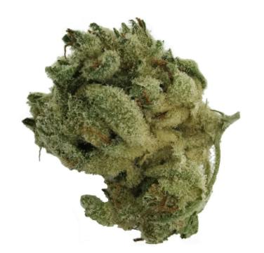 Sitka Micron Collection - Cheddar Bob - 3.5g (Indica)