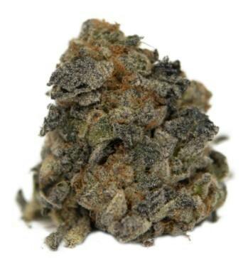 Wild Florist - Magic Mint - 3.5g (Hybrid)