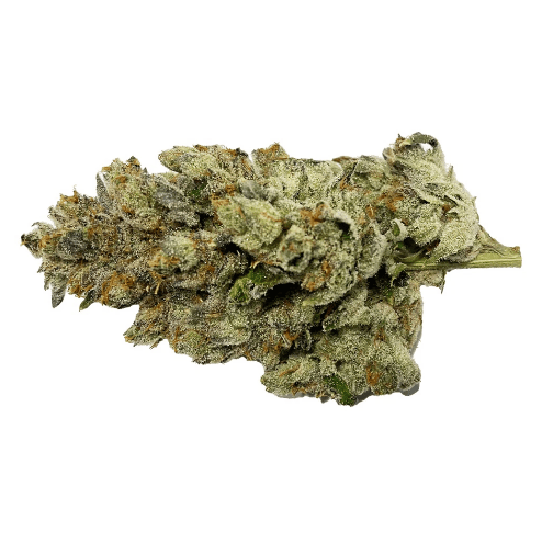 BC Green - Cement Shoes (Animal Cookies x OG Kush Breath x Wet Dream) 3.5g (Indica)