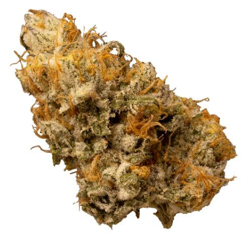 Terpenology - Explore the stars - 7g (Hybrid)