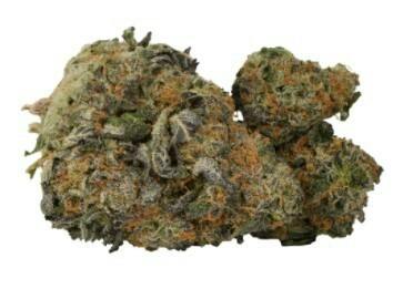 Snackbar - Macslurry (TMAC x Slurricane) - 3.5g (Indica)