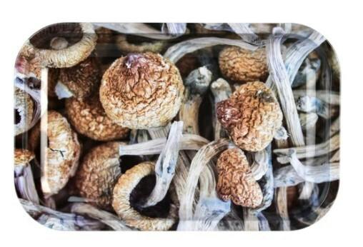 Pulsar Metal Rolling Tray - Shroom Collage