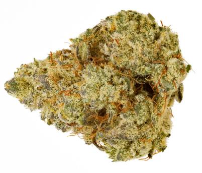 Whistler Cannabis Co. - Organic BC White Grape OG - 3.5g
