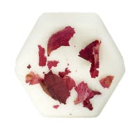 Noon & Night - Shinrin Yoku Fizz Bath Bomb