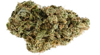Elio's Reserve - Modified Gaz (First Class Funk x Grape Gasoline) - 3.5g (Indica)