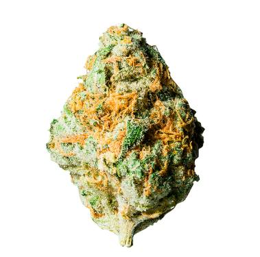 Paradise Cannabis - Niagara's Craft Sunset Jack - 3.5g (Sativa)