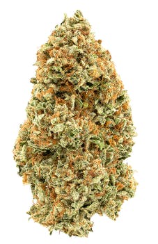 1964 - Organic Super Lemon Haze (Lemon Skunk x Super Silver Haze) - 14g (Sativa)
