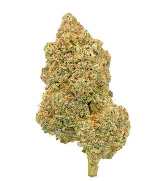 Only Micro Growers - Mac 7 (Alien Cookies x [Columbian x Starfighter]) by Vertical 7 - 3.5g (Hybrid)