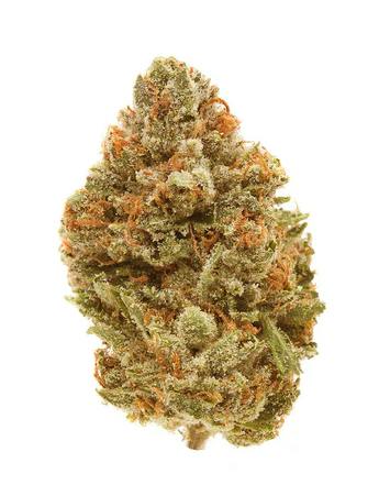 WELL MADE - Chemfire Kush - 28g (Indica)