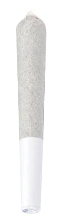Natural History - Electric Lettuce Indie Pre-Roll - 1x0.5g