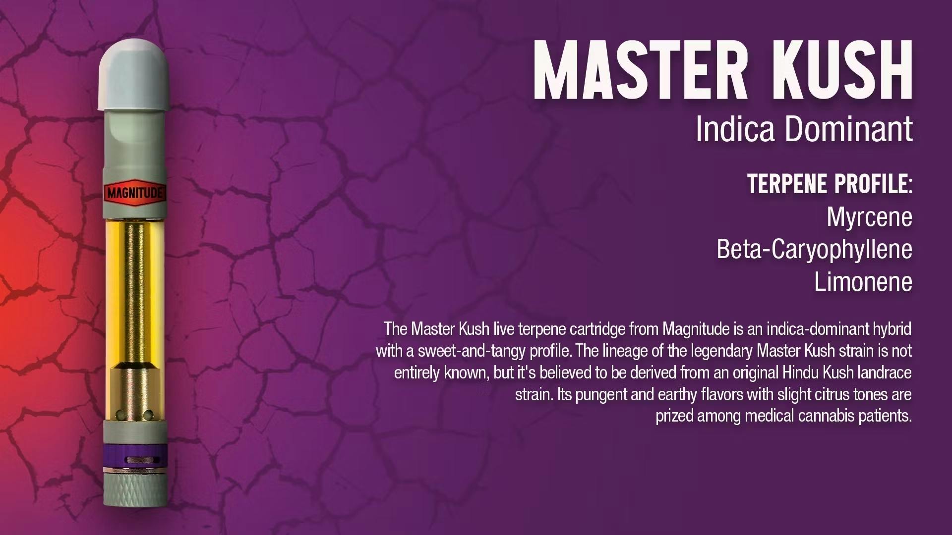 Magnitude Master Kush