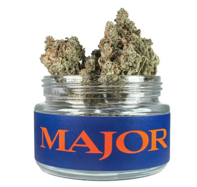 Major - Medellín