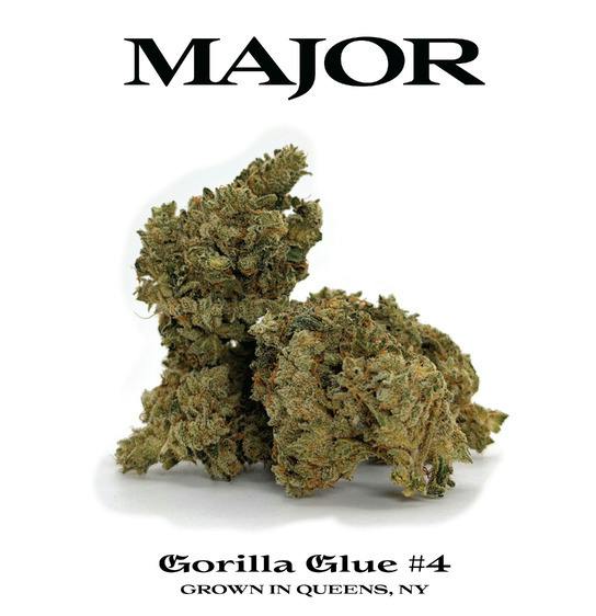 Major - Gorilla Glue 4