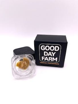 GDF: Concentrate | GovernMint Oasis x Sorbet Haze | Wax