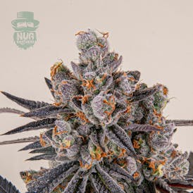Carbon Fiber - Nug Brothers Flower