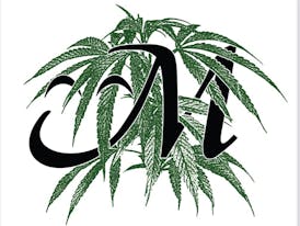MYSTQ - Tincture - Sativa Lift