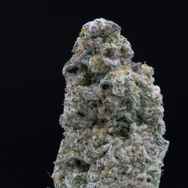 JAR - MAC 1