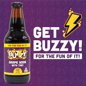 BZZY - Grape Soda