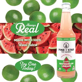 P&S - Watermelon Limeade
