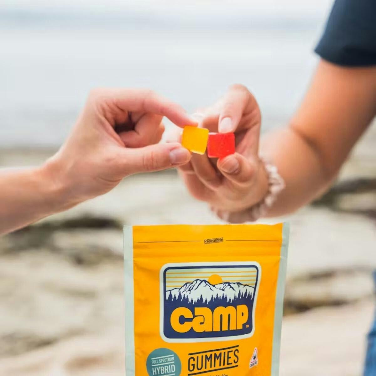 CAMP - Hybrid Variety Pack