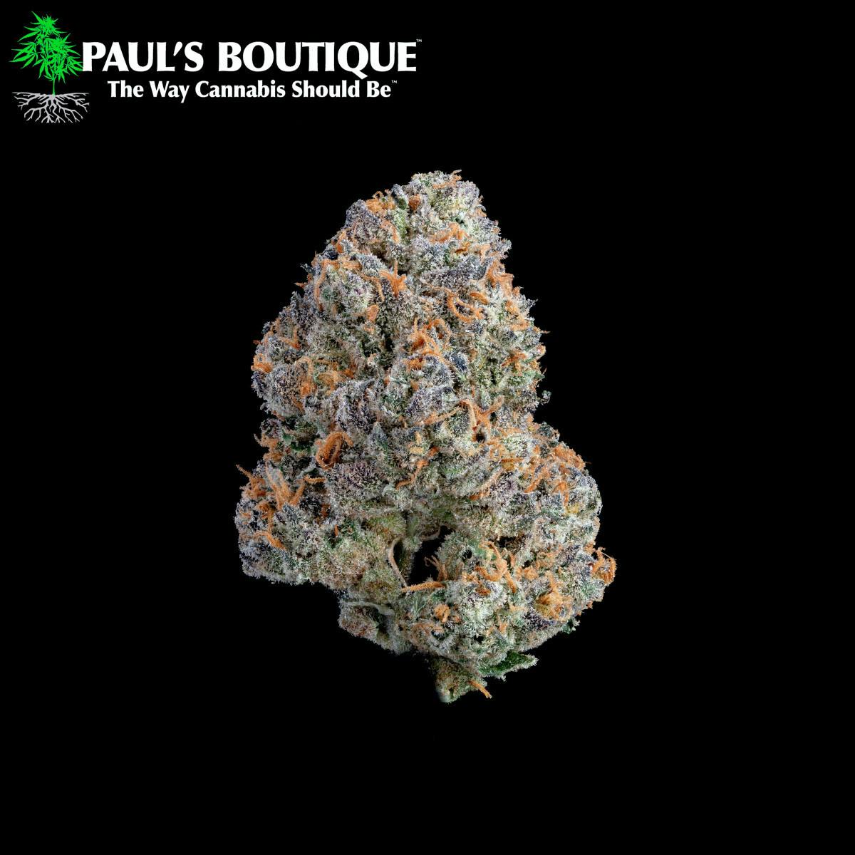 PAUL - Black Cherry Punch