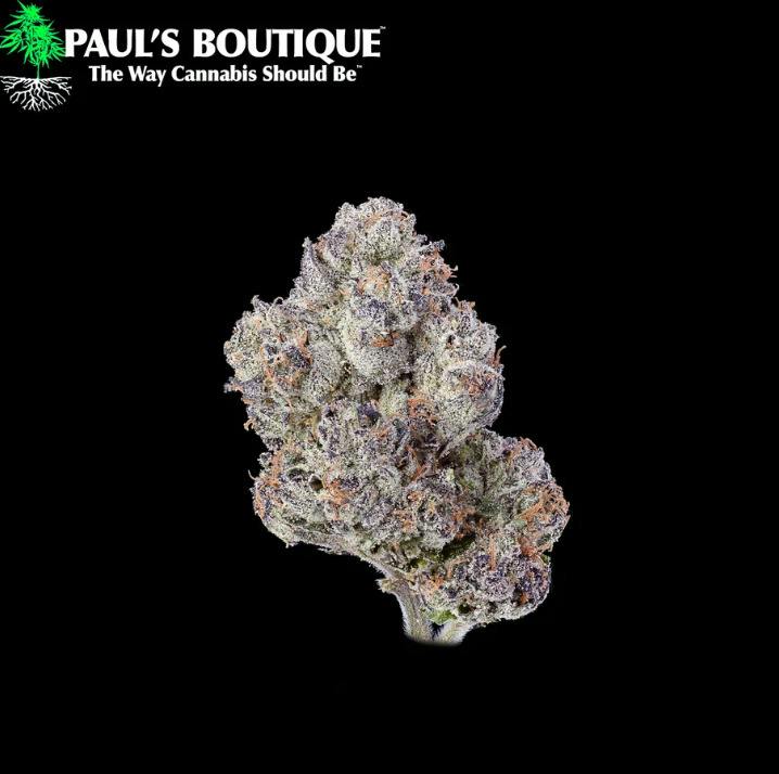 PAUL - Presidential Runtz