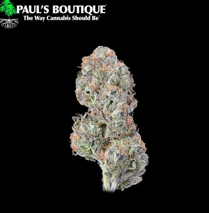 PAUL - Galactic Warheadz