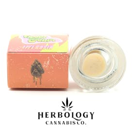 Fresh Canna | Live Rosin | Northern Lights | 1g