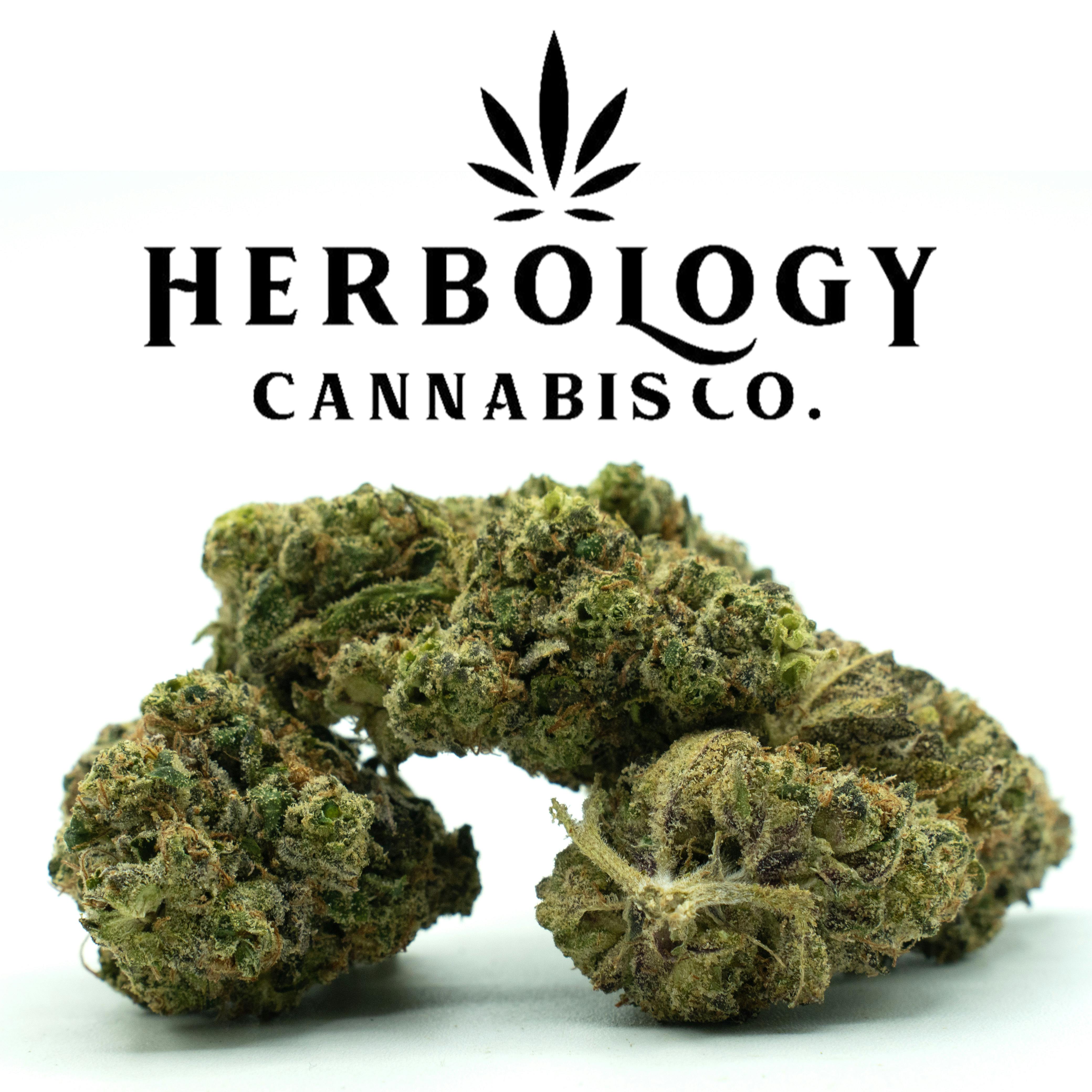 Dog House | Candy Cartel | Smalls | Deli cannabis product