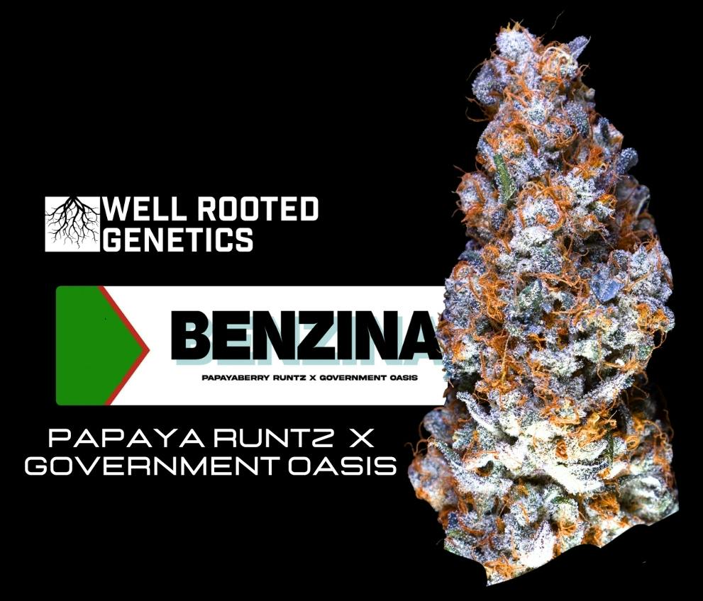 Benzina - Well Rooted