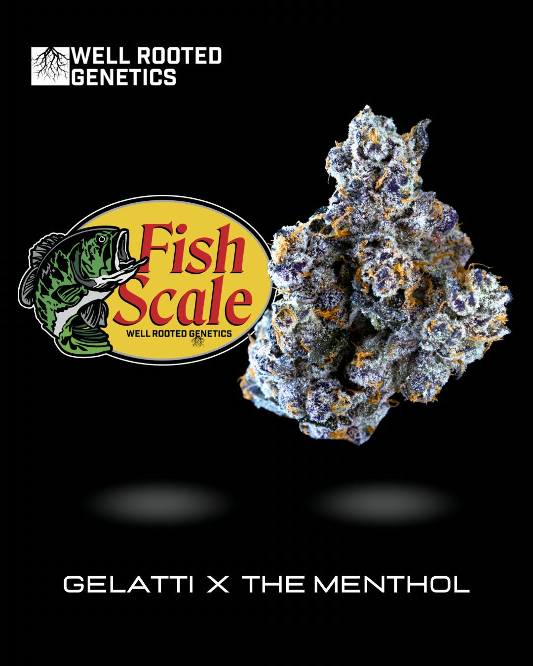 Fish Scale - Well Rooted