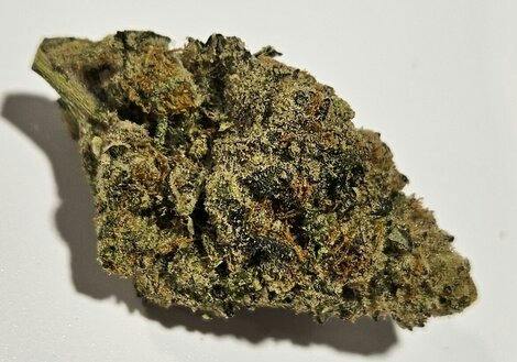 Grape Gary