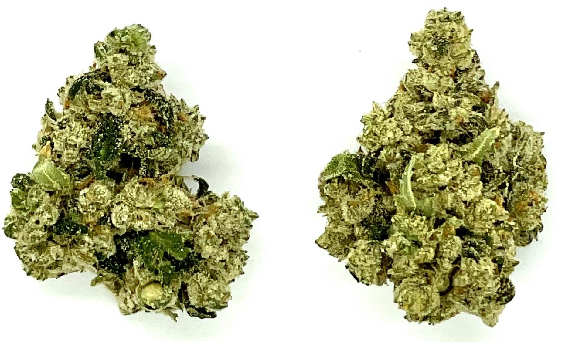 Buds | Lemon Head at Montana Kush - Gallatin Gateway Dispensary