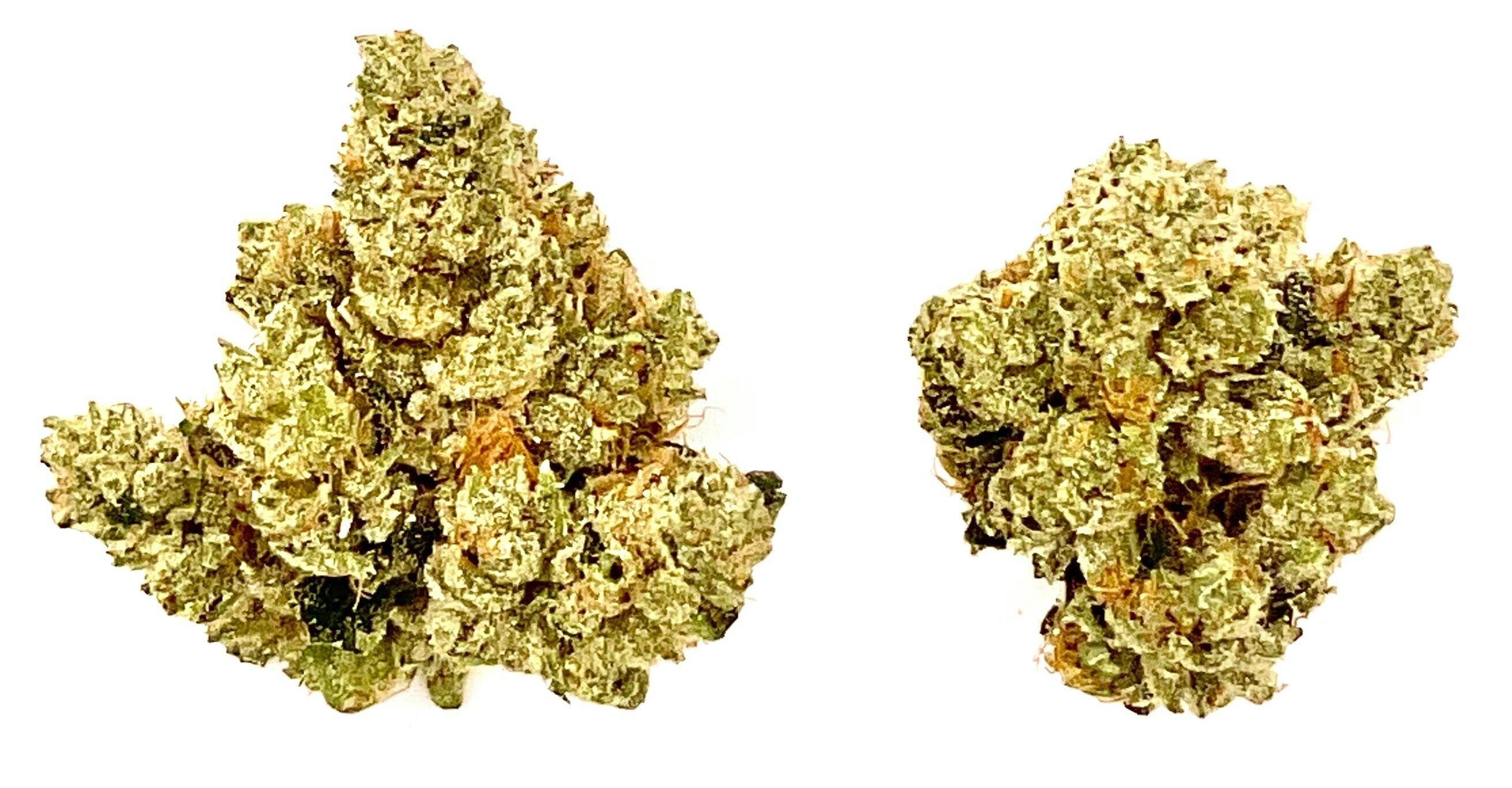Buds | Ghost OG