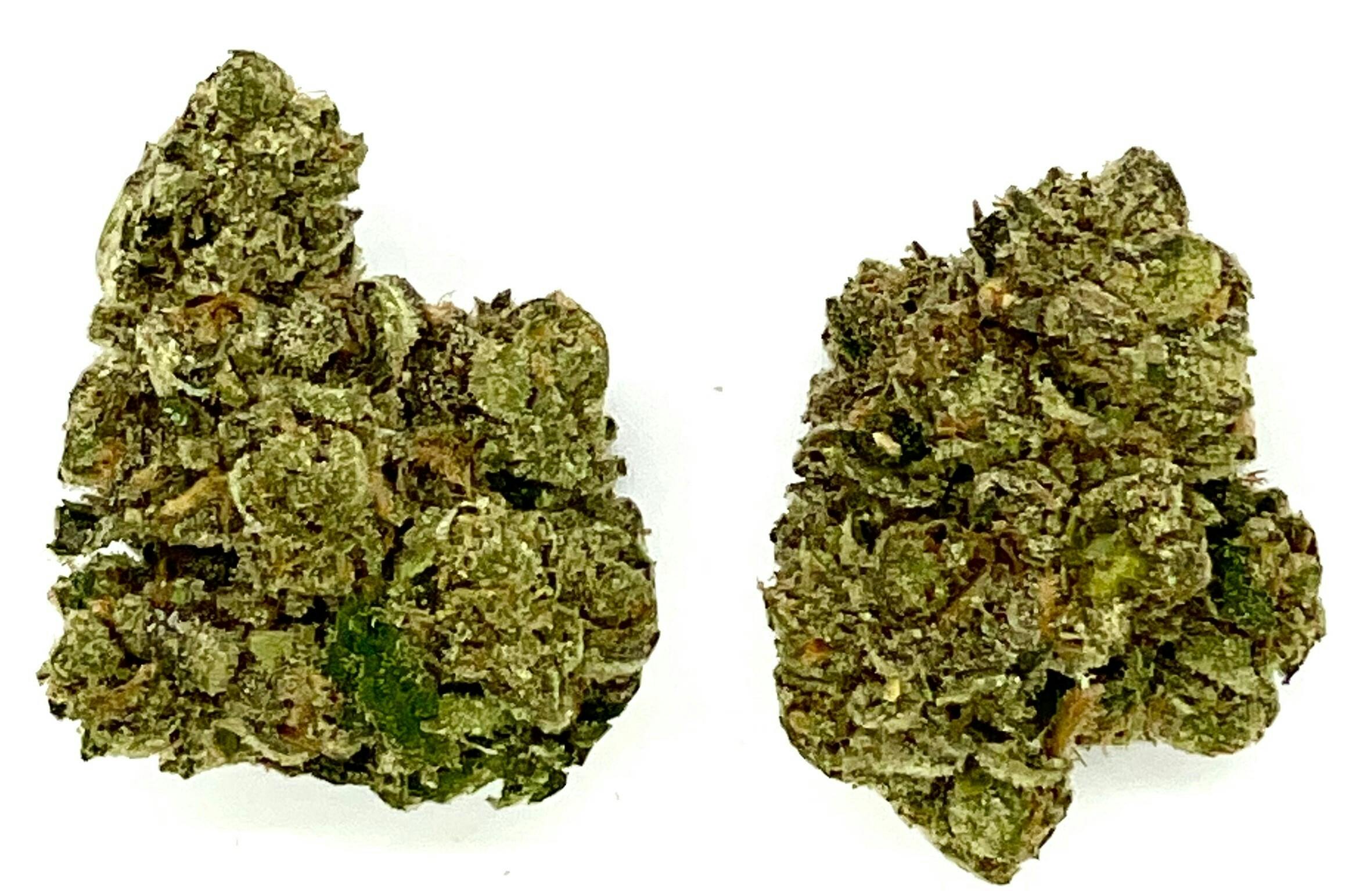 Buds | Face Off
