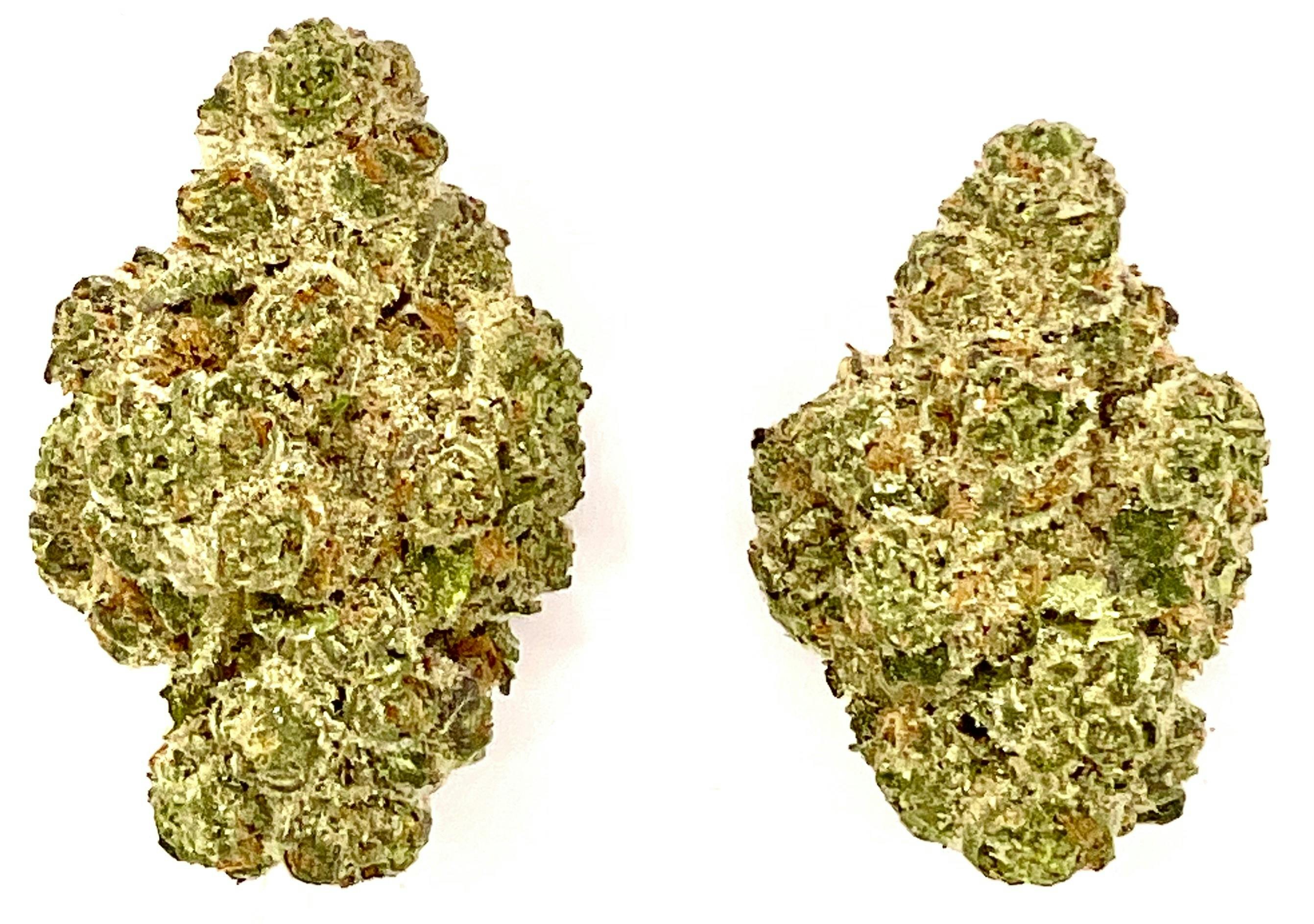 Buds | Lato Berry
