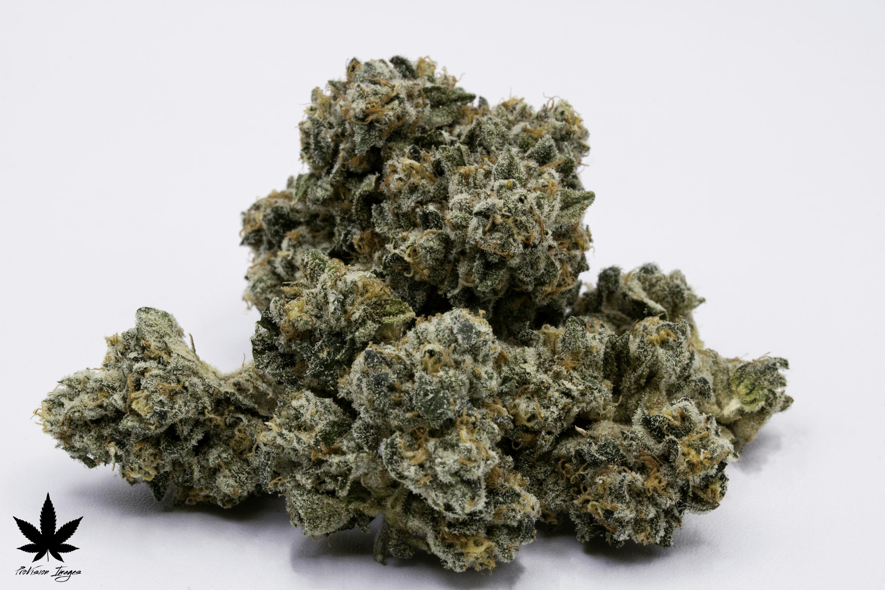 Buds | Pyromaniac