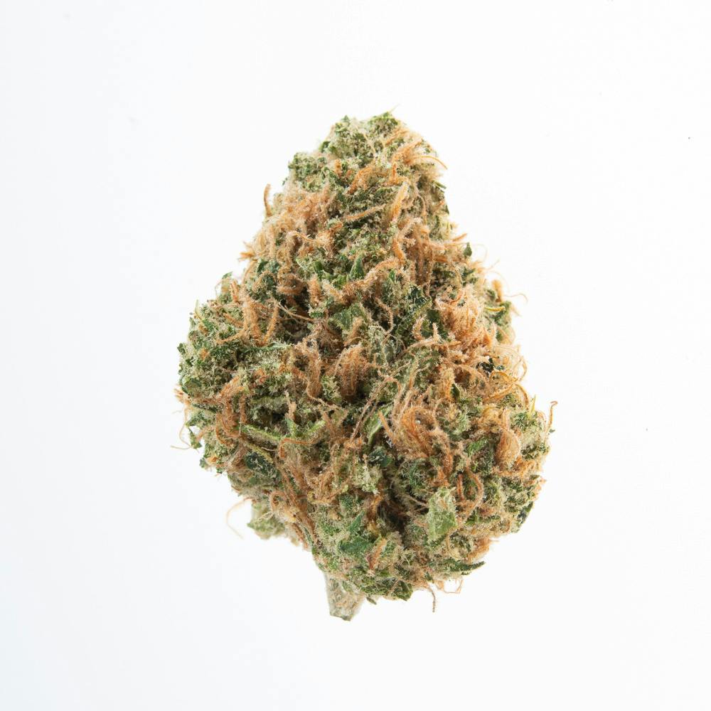 Buds | Golden Goat