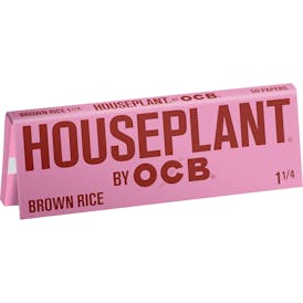 Houseplant | Papers | Brown Rice | 1 1/4 Size
