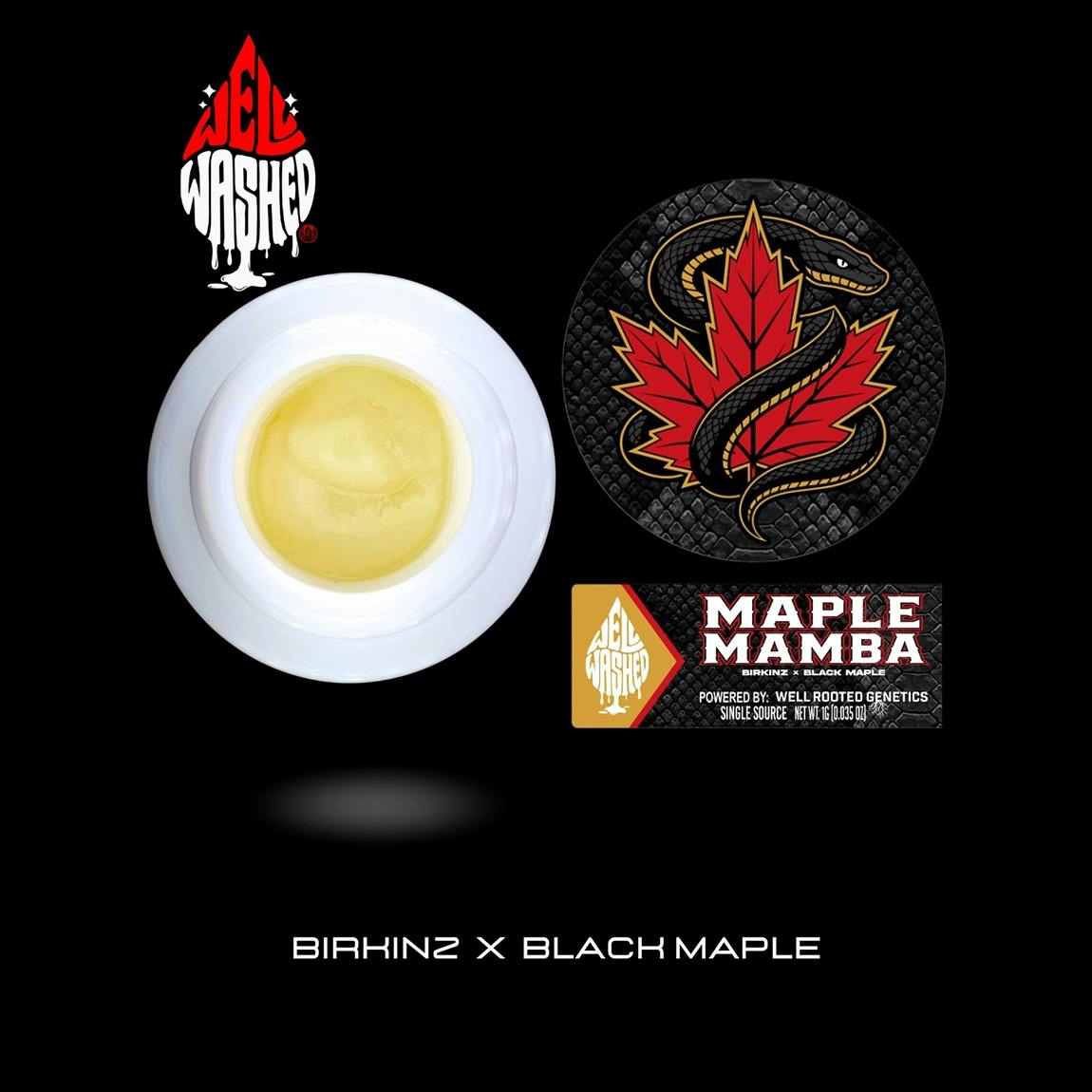 Well Rooted | Live Rosin | Maple Mamba