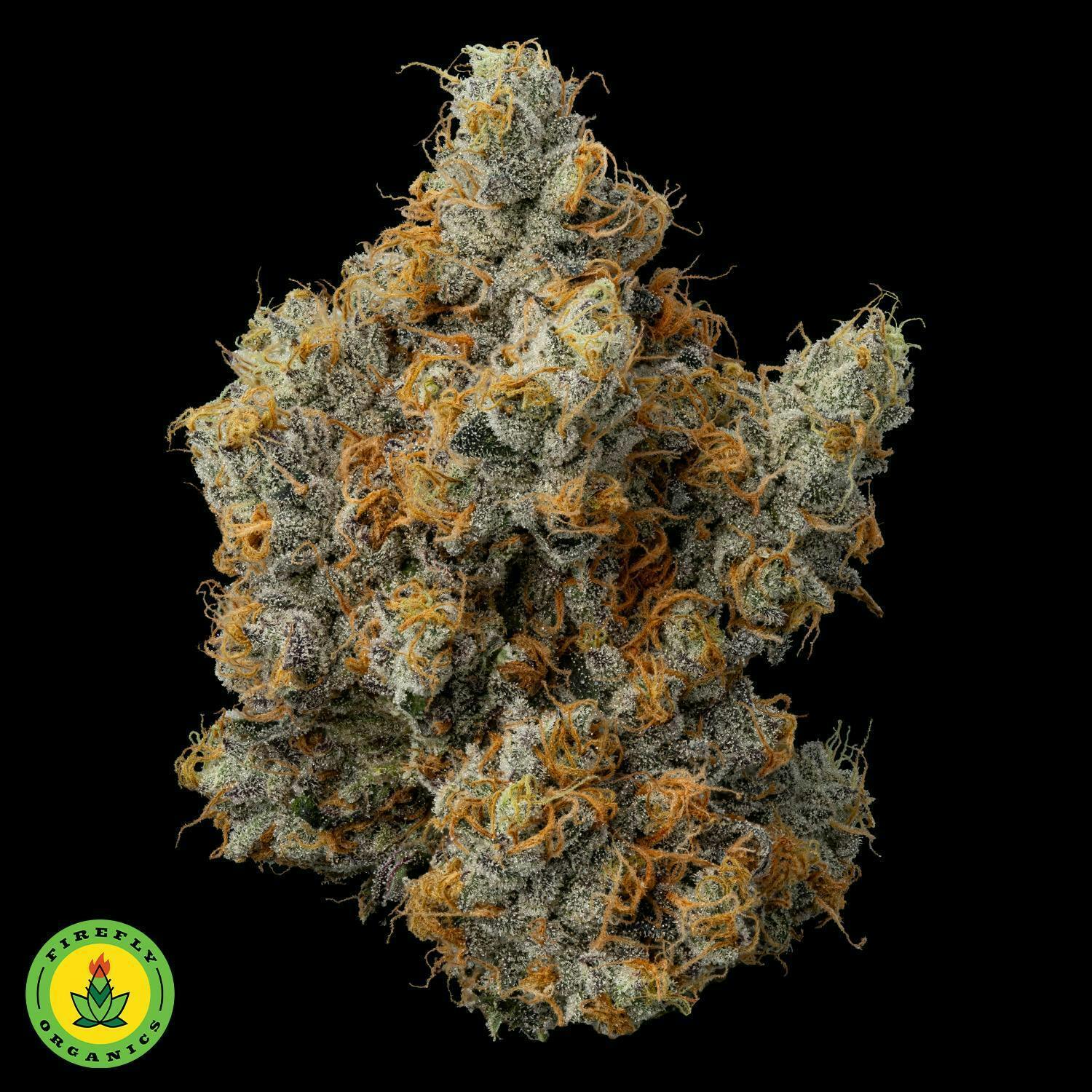Firefly Organics | Gary Payton | (3.5g)