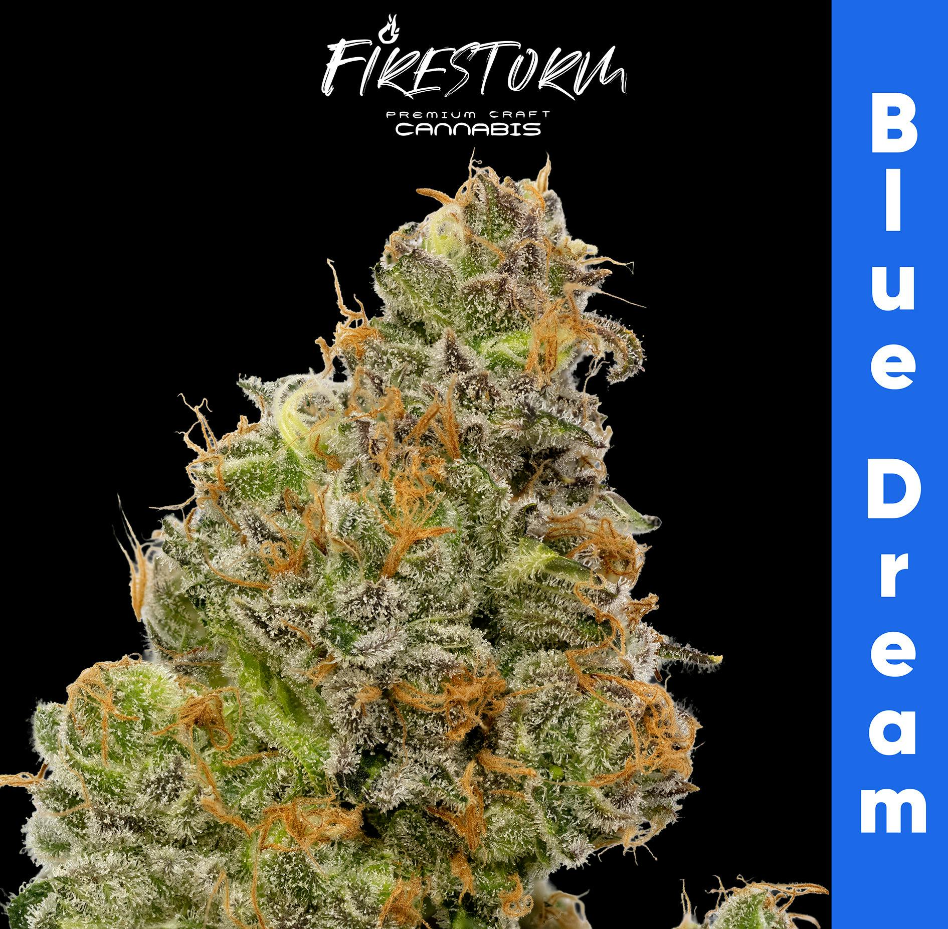 Blue Dream | Big Buds | 3.5g