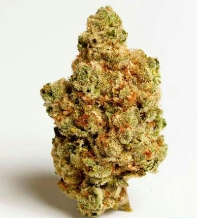 Elyon 3.5g Bag - Jelly Donutz
