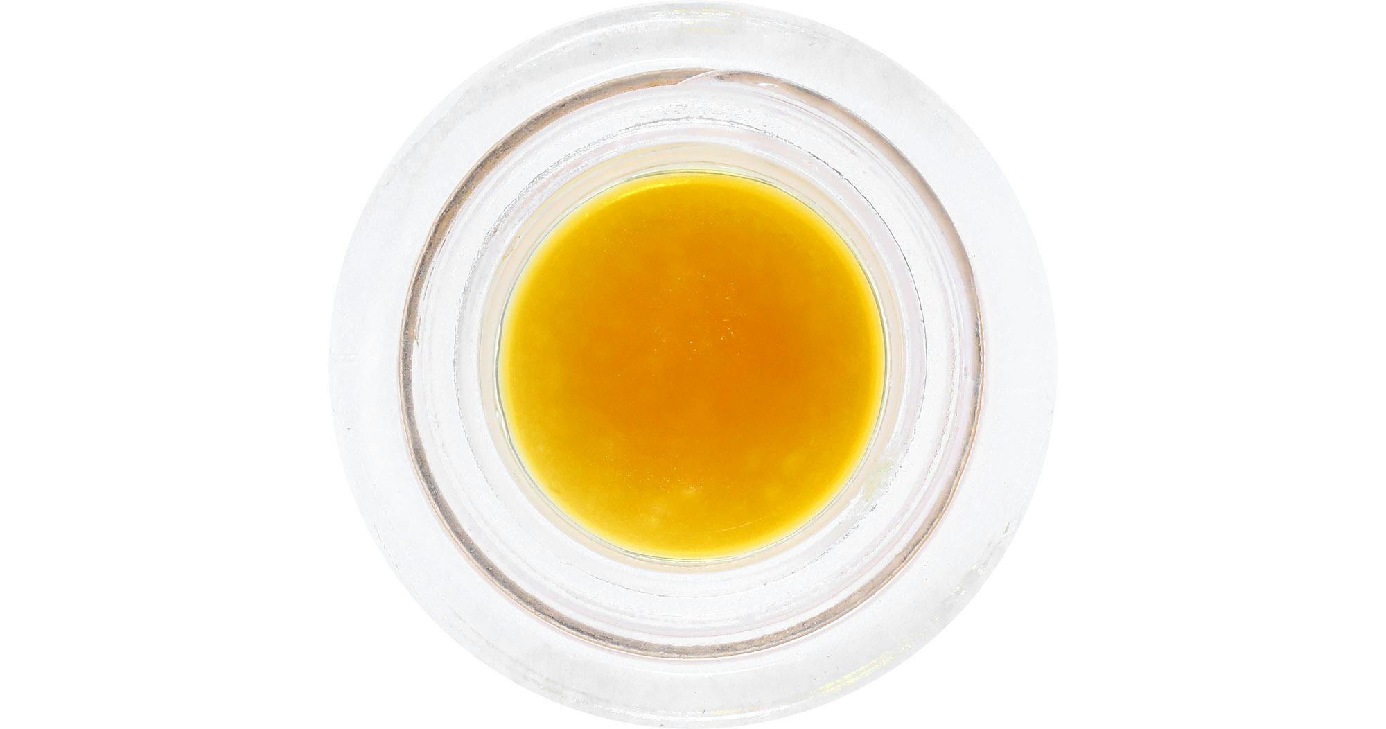 Humboldt Terp Council — Zgp
