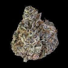 Pablo's Driver - Top Shelf