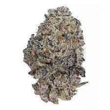 Viola Flower - Oreoz - Top Shelf
